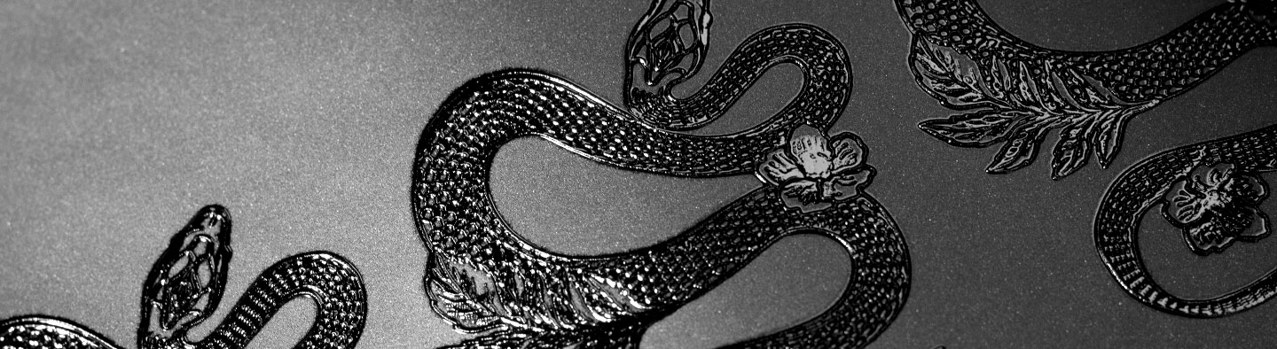 Spot UV & Gloss Varnish