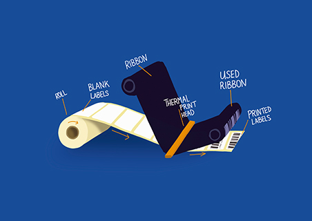 Thermal Transfer