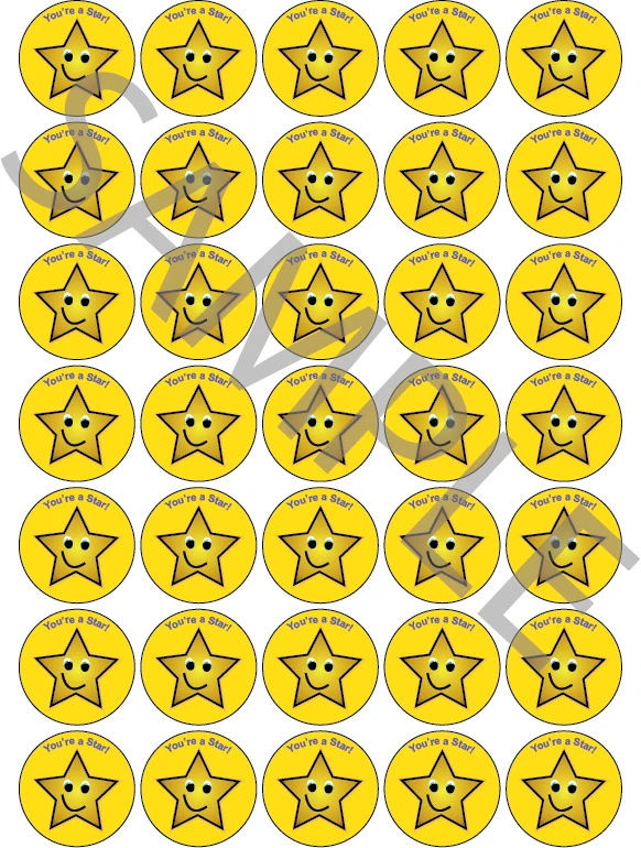 You're A Star Reward Stickers | Flexi Labels